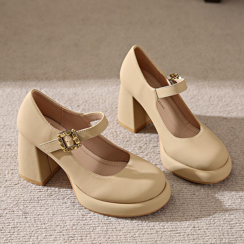 8CM Mary Jane shoes high heels fairy temperament fairy style 2025 new spring commuting thick heel French evening style single shoes