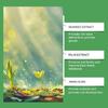 Comprehensive Plant Care Nutrients Practical Organic Fertilizers Tablets Slow Release Agent for Garden Enthusiasts