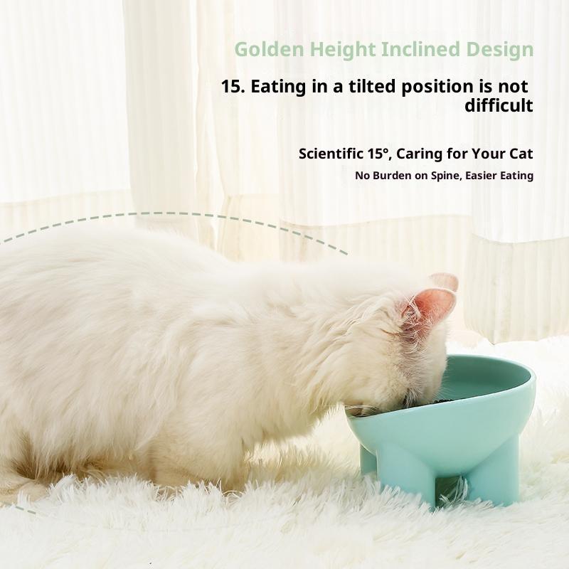 Elevated Cat Bowl With Stand - Durable Plastic Pet Food & Water Dish, Sleek Modern Neck-Friendly Feeding For Cats & Dogs