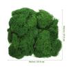 1 Set Realistic Artificial For Wall Decor Indoor Plants Diy Simulation Faux Moss Craft Home Decor Terrarium Plant Arrangement