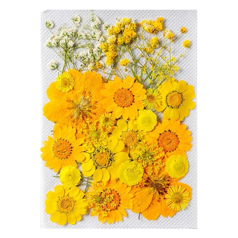 Colorful Real Dry Herbs Set Assorted Dried Flower Bundle Pressed Flower for Creative Scrapbook and Decors