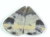 Natural Puff Jasper Matched Pair Pear Cabochon Loose Gemstone 15X23X03 MM SK-275