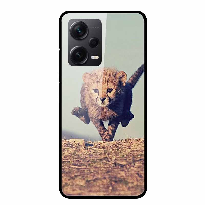 Tempered Glass Cases For Redmi Note 12 Pro Plus 5G Covers Note12 Hard Back Covers for Xiaomi Redmi Note 12 Pro Capas Protective
