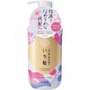Ichigami Smooth Care Sp Sponge 450 Ml Kracie Home Products