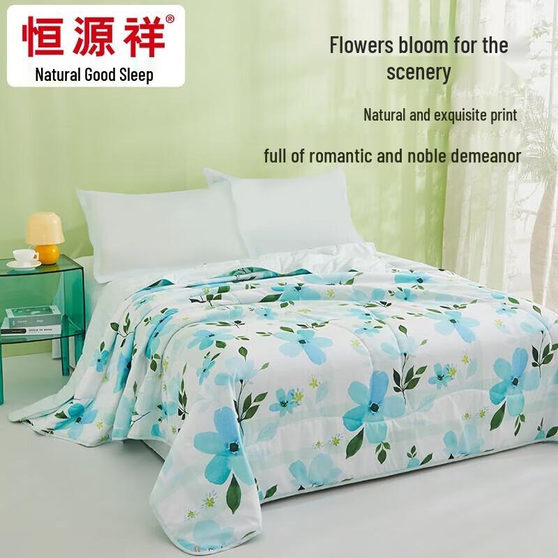 

Hengyuanxiang Washable Antibacterial Summer Quilt Core