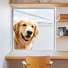 Golden Retriever Static Cling Glass Sticker No Glue for Kitchen Bedroom Window Decor