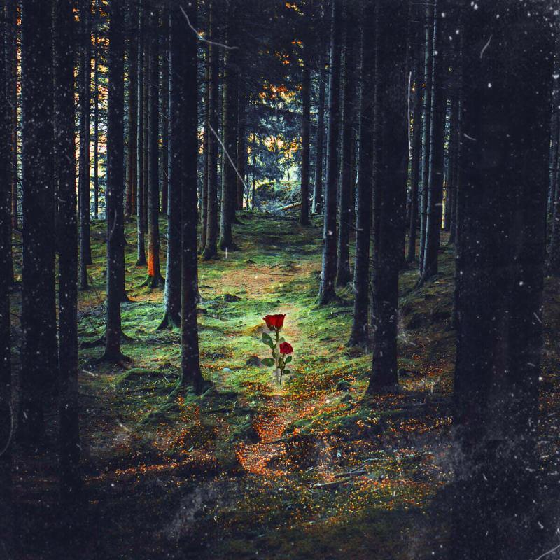 

Lim Ho-yeon 2nd Album - Salvation