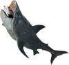 Realistic Dinosaur Megalodon 28Cm Like a Living White Shark Predator