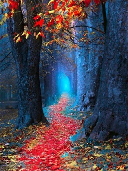 

Полный дрель 5D Алмазная картина Пейзажная вышивка Мозаика Водопад Стразы Картина Украшение дома Full Square 20X30CM дубильная кора