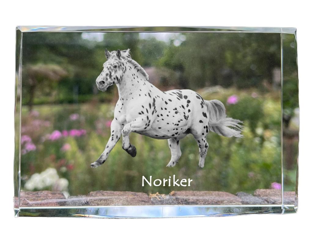 Noriker - crystal with a picture of a horse, photo in glass, modern exhibition of Art-Dog brand photo