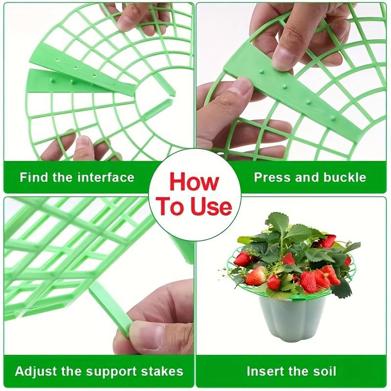 Supporto per Piante di Fragole Verde con 3 Gambe Robuste - Gabbia di Supporto per Piante in PVC, e Corrosione, Aiuto Ideale per la Piantagione