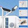 Nu Feng 100W Curved Smart Sensor Solar Street Light