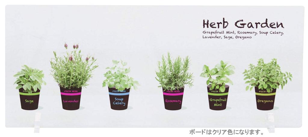 Yamato Chemical Kitchen Splash Guard Acrylic Board for Herbs In Flower Pots 60cm
