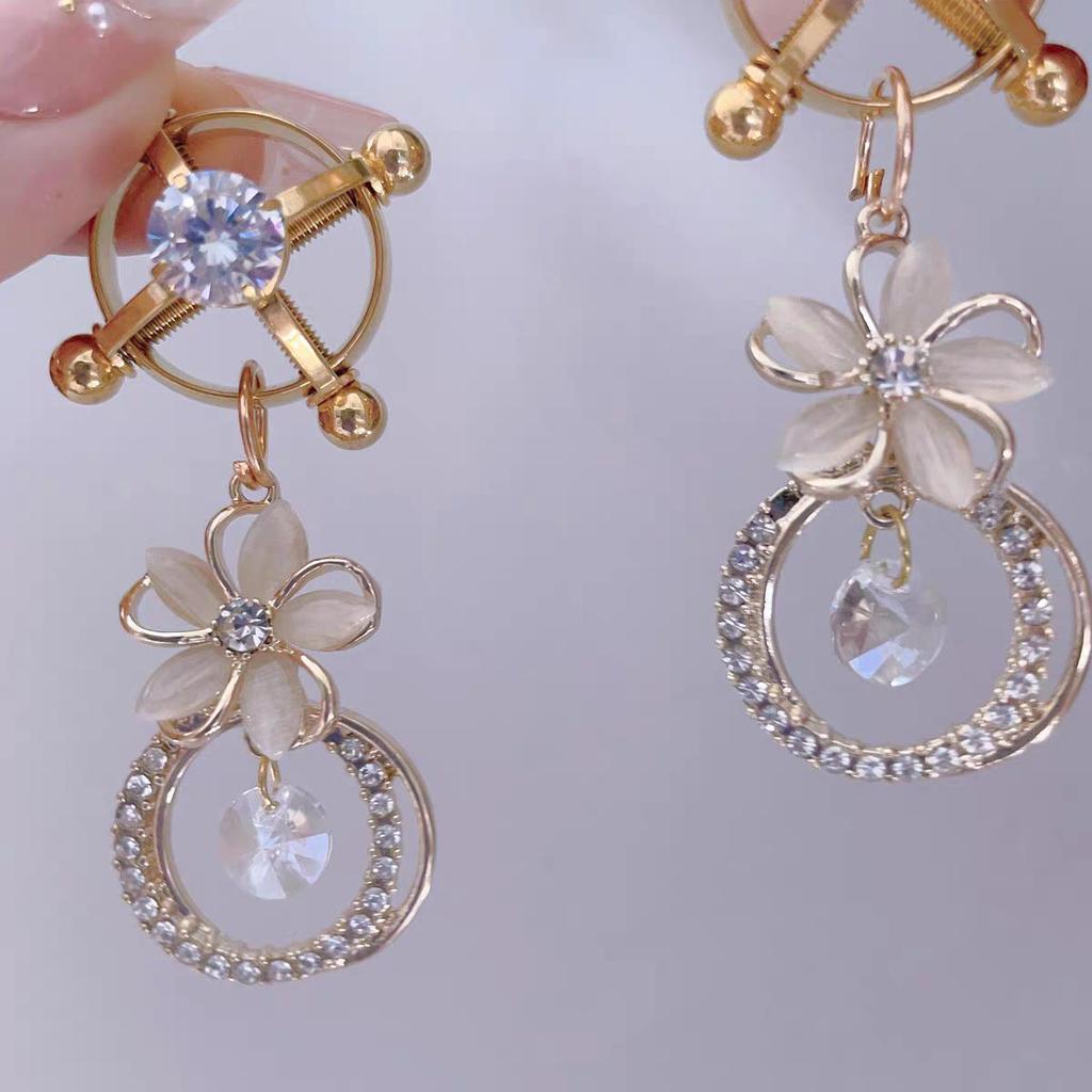 Adjustable Diamond Nipple Clamps with Anal Plug Training & Teasing Toys