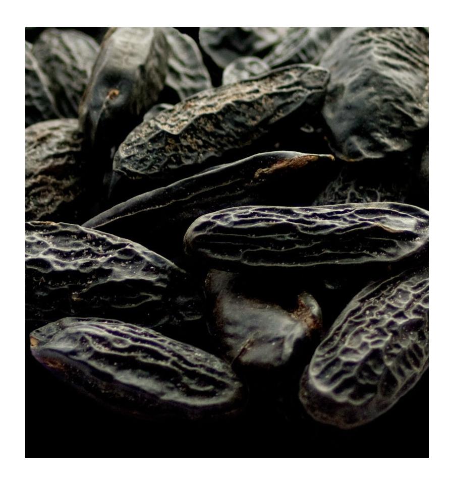 Yodeyma Dauro Water Perfumed for Men 100ml