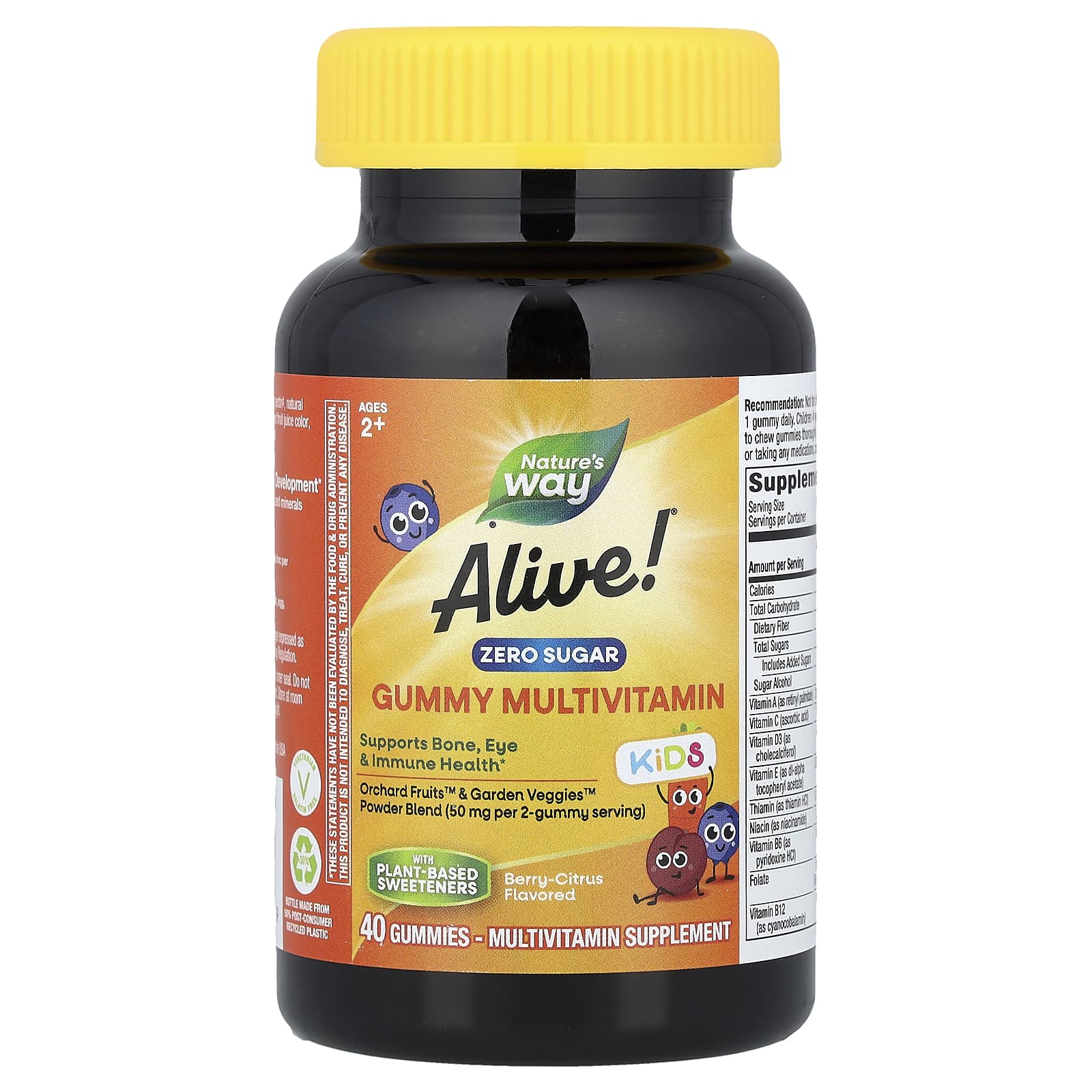 

Nature s Way, Alive!® Kids, Sugar-Free Multivitamin Gummy, Ages 2+, Berry Citrus, 40 Gummies