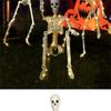 40cm Halloween Skeleton Decoration Glowing Joint Movable Warm Color Standing Or Hanging For Haunted House Holiday Ornament