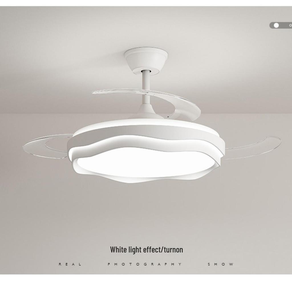 2025 Modern Silent Ceiling Fan with Integrated Light for Bedroom or Restaurant