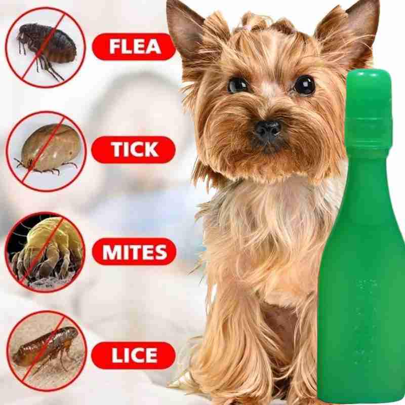 Buy Pet Insecticide Flea Lice Insect Killer Spray Mites Drops Pets For Dog B2b8 K4q0 At Affordable Prices Free Shipping Real Reviews With Photos Joom