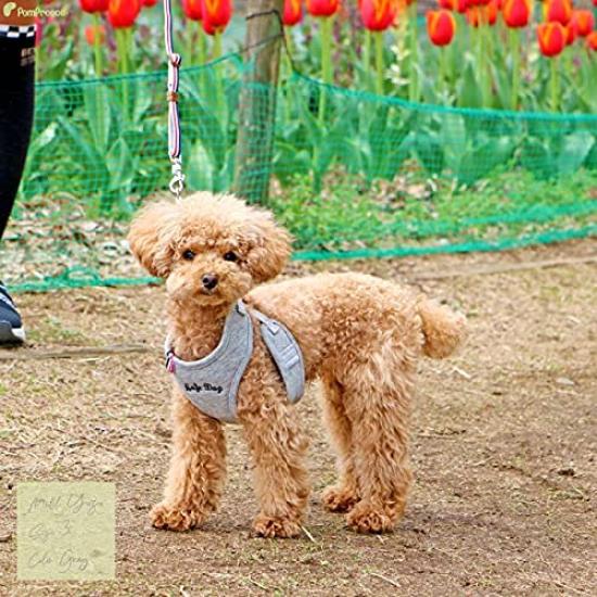 For slip easy to put on and take with safety antibacterial and deodorizing Super Harness and Lead Tricolor Neo For active timid dogs with weak trachea