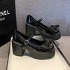 Fashion 2025 Summer New Coarse Heel  Single Shoes Fashion Bowknot Thick Heel Round Toe Pumps Trendy Street Lolita Shoes
