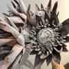 1Pc Simulation Single Dried King Protea Flower, for Wedding Home Decoration Holiday Decoration Valentine's Day Gift Birthday Gift