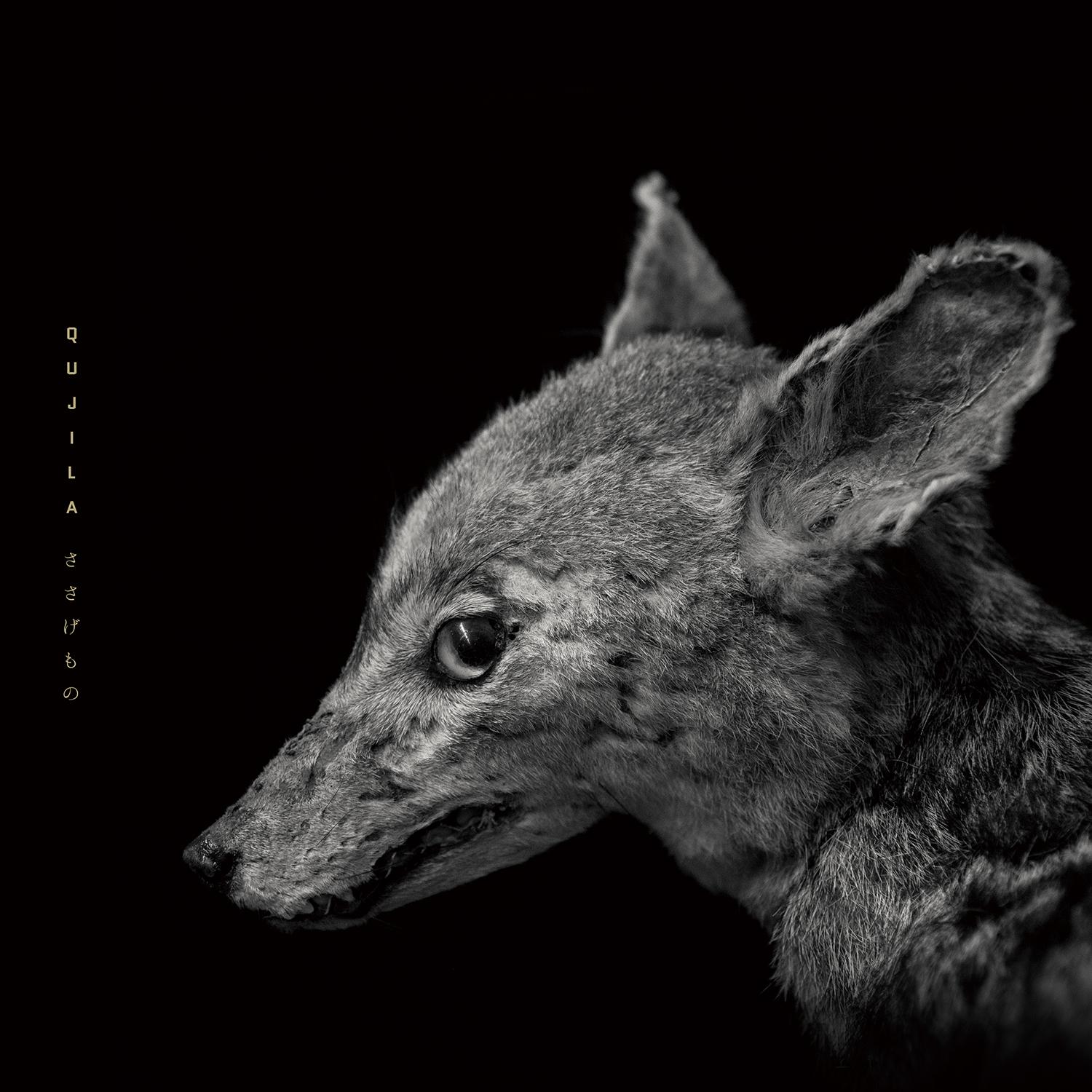 

LP Record QUJILA - Sasagemono GLAX005L galabox disx 2024 Japan Japanese Pop/Rock