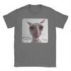 Funny James Cat Meme Pure Cotton T-Shirt For Man Summer Cute  Classic T Shirts Round Neck Harajuku Tee Shirt Oversized Loose