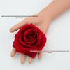 Velvet Rose Simulation Head for Wedding Display and Decoration – Silk Flower Arch & Brooch Decor.