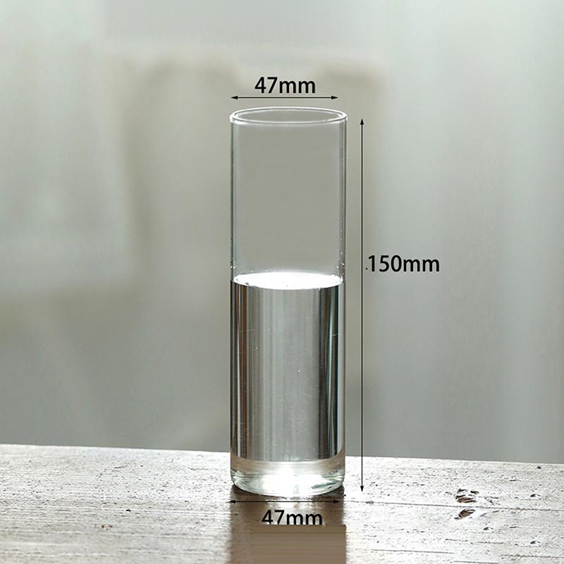 Hydroponics Plants Desktop Glass Planter Vase Glass Vase Transparent Cylinder Flower Vase Bedroom Desktop Home Decoration
