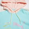 Puma Florida Buchstaben Logo Print Color Block Kordelzug Hoodie Unisex Hoodies Hellblau 534005-62