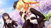 the and the Stray Cat Special Edition to Commemorate TV Animation Nora, Princess, Heart