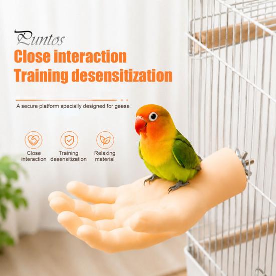 Parrot Tension Relief Toy Hand-Shaped Perch, Realistic Hand Stand with Screw Fastener, Bird Natural Perch Cage for Budgie Cockatiels, Desensitization