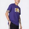 Nike Los Angeles Lakers Casual Print Crew Neck T-Shirt Men Tops Purple DA7479-547