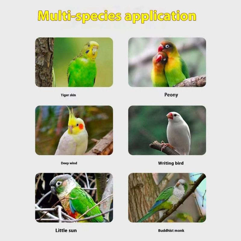 Säkerhetslina för husdjursfåglar för småfåglar, 3 meter lång, koppel för papegojor, elastiskt träningsrep för husdjursfåglar med 6# fotringar