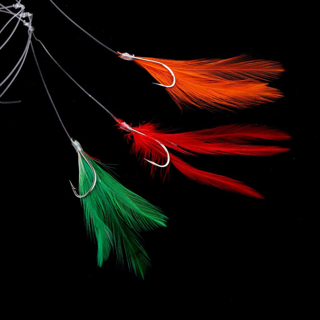 Baits Rigs Hooks for Bass Perch Carp
