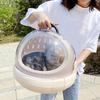 Space Capsule Pet Carrier with Pad Small Breathable Car Mounted Pet Travel Carrier for Dogs And Cats Within 10lbs