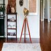 Pack of 1 Spotlight Tripod Floor Lamp, Brass,