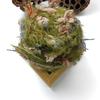 Handmade Raw Wood Gourd Doll DIY Kit - Complete Accessory Set