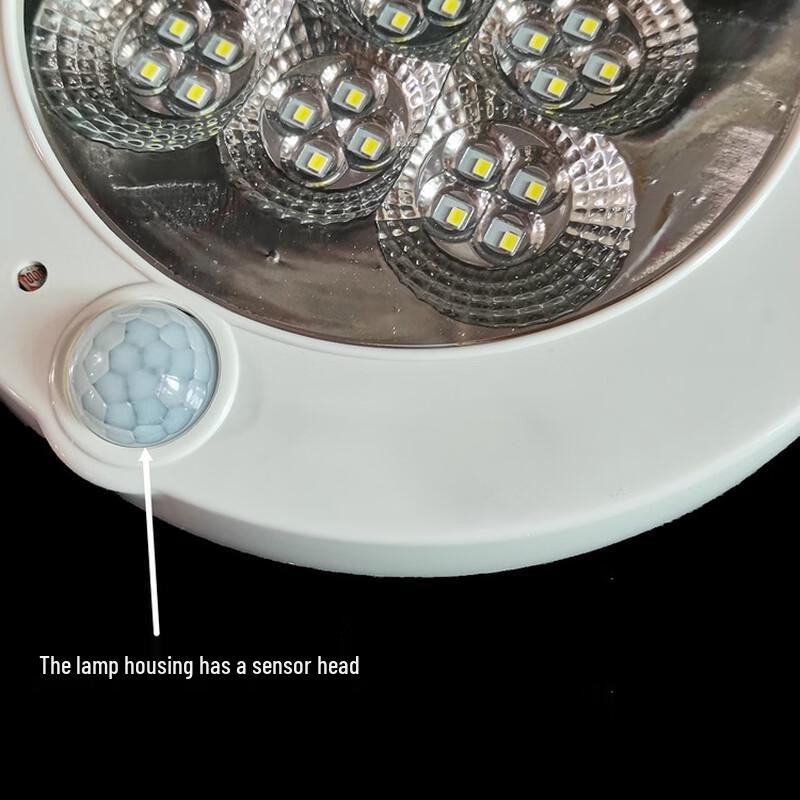 LED Plum Blossom Sensor Ceiling Emergency Light