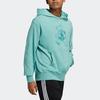 Adidas Originals Sweatshirts Unisex Mint Blue Hooded Moderate Regular (Unisex) Sweatshirts HJ7822