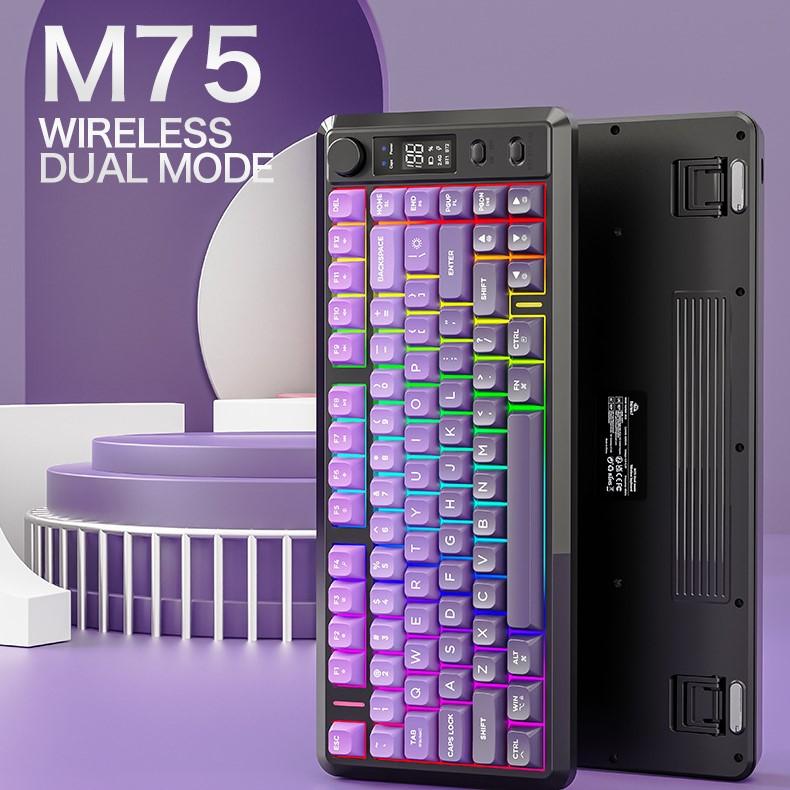 FREEWOLF M75 Wireless Mechanical Gaming Keyboard 2.4G/ Dual Mode 82 Keys RGB Multimedia Anti-Ghosting ABS+PC Private Mold