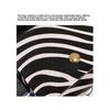 Dress Trendy Decoration Mini Change Wallet Small Belt Goods Fashion Fashion Fanny Pack