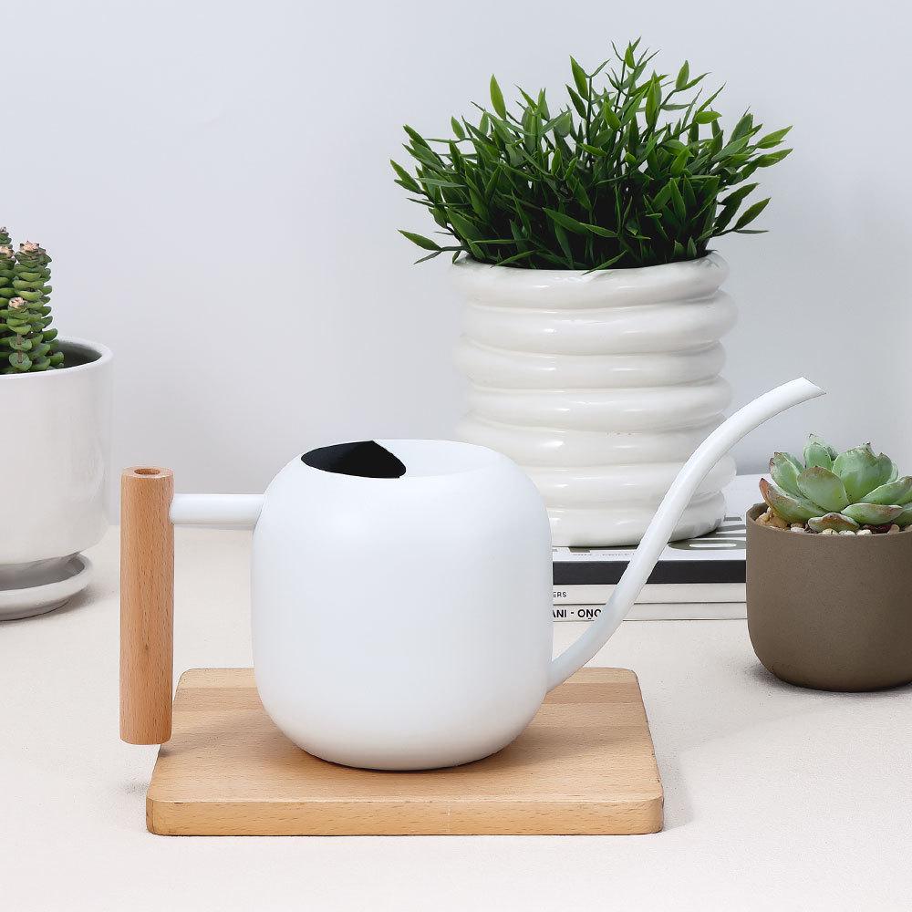 Stainless Steel Long-Spout Watering Can with Misting Sprayer for Gardens