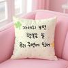 Creative Art Korean Luck Comes to Me Cushion Cover Pillow Case Soft Skin Friendly Fabric  Concealed Zipper