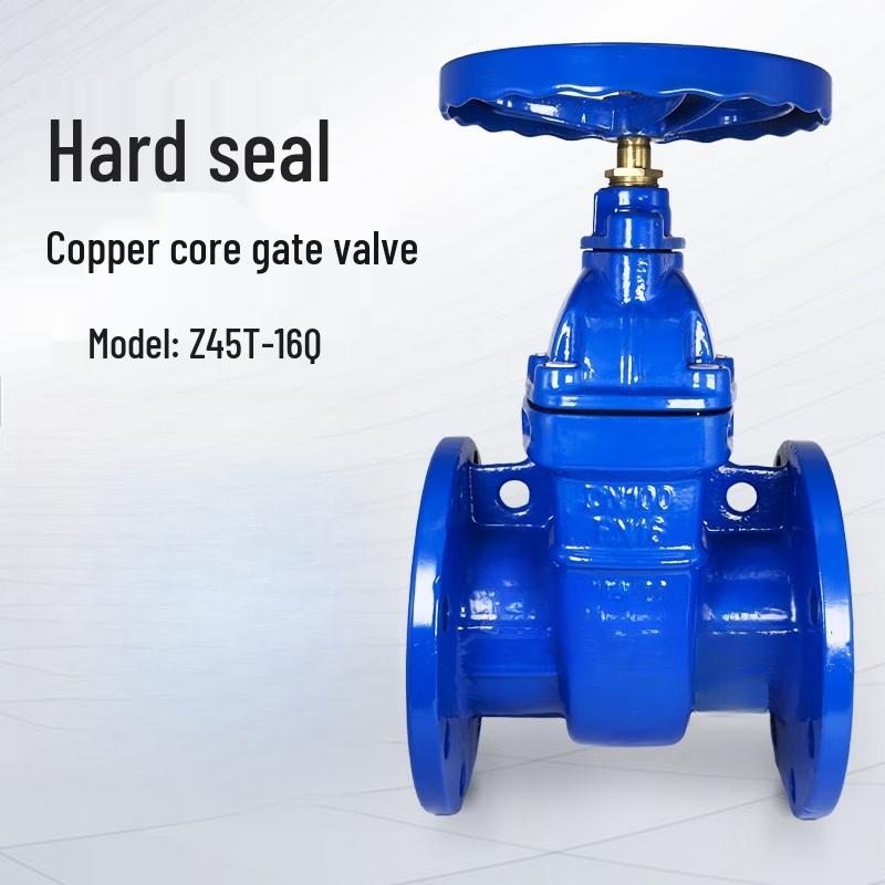 

DN100 Heavy-Duty Copper Core Gate Valve