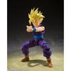 S.h.figuarts Dragon Ball Super Saiyan Son Gohan  The Fighter Who Surpassed Goku   Reissue 