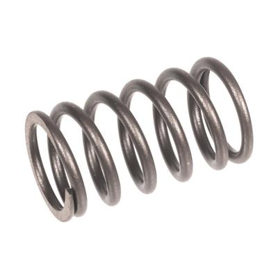 Mola de Válvulas Cedrus Gerador Cedag8E-1F