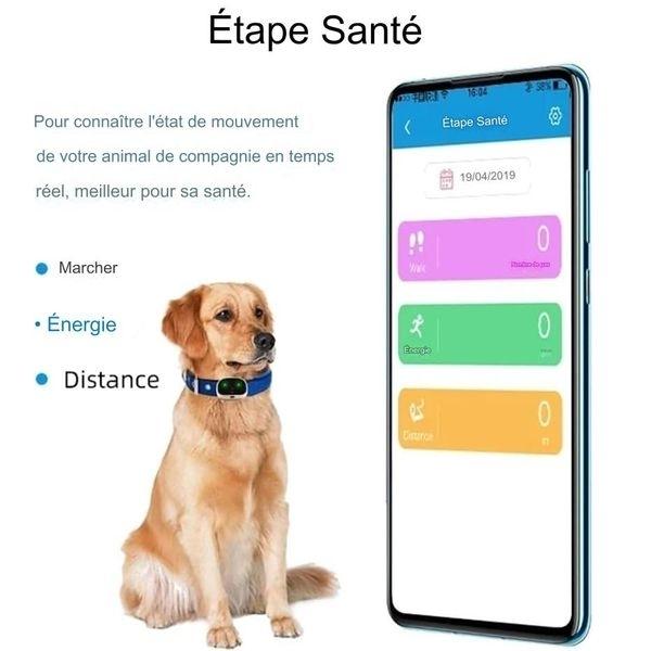 4G Waterproof GPS Tracker Real Time Tracking for Animals