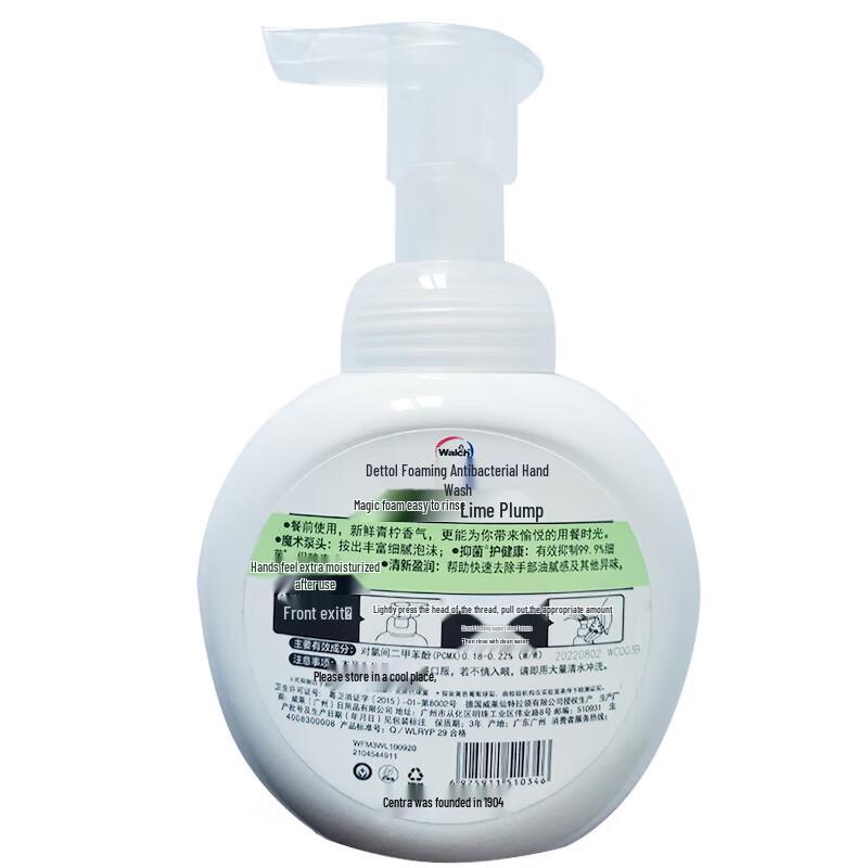 Walch Foaming Antibacterial Hand Wash, Lime